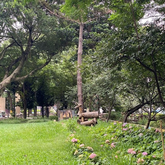 莒光環保公園🐕
