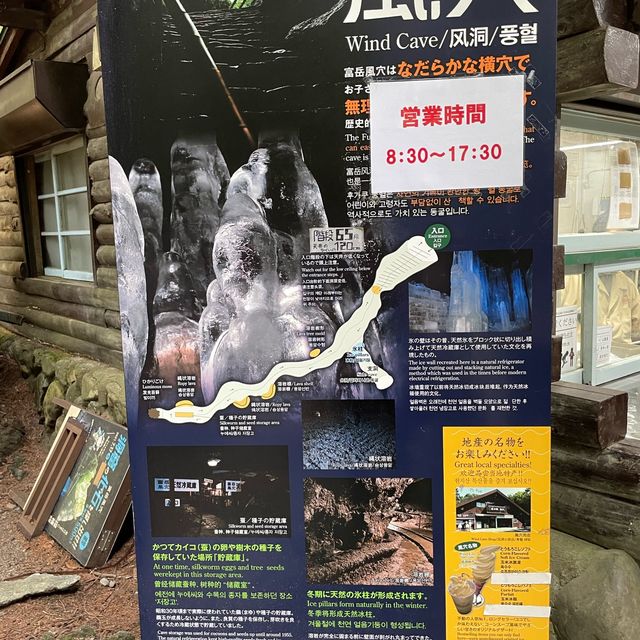 富岳風穴 WIND CAVE