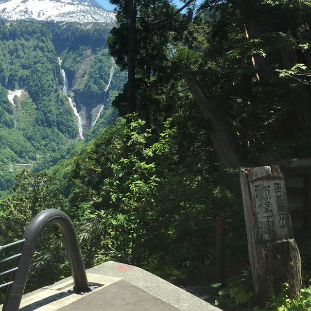 立山彌陀之原 ｜感受雪牆之路❄️❄️❄️