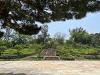 ☕ 新竹叉子咖啡：在新竹公園中探索的隱藏寶藏！🌳🍃
