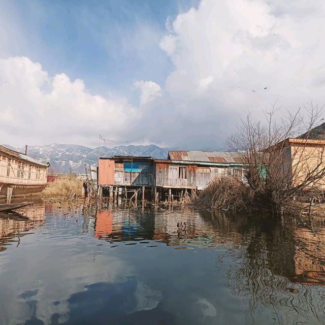 Jewel of Kashmir - Dal Lake 