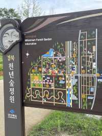 힐링되는 공간 “경주 산림환경연구원” 천년의 숲