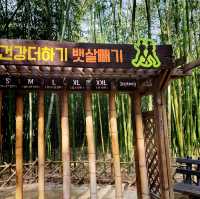 🌙如果可以試下夜遊十里竹林就好喇🎋