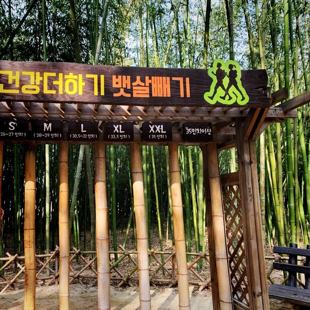 🌙如果可以試下夜遊十里竹林就好喇🎋