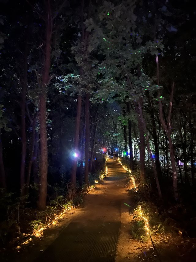 경기도 이천 심야데이트는 별빛정원우주에서