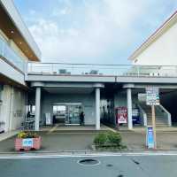 【千葉県】房総半島ドライブの立ち寄りにおすすめ！渚の駅たてやま