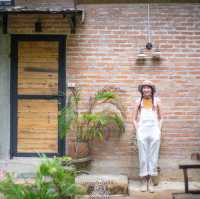 Bee forest บ้านแม่ลาย เชียงใหม่