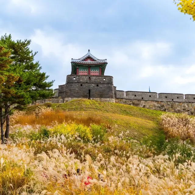 Beautiful Autumn Of Suwon Hwaseong Fortress 