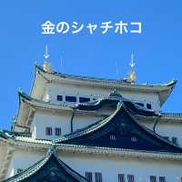 愛知旅行！絶対はずせない名古屋城