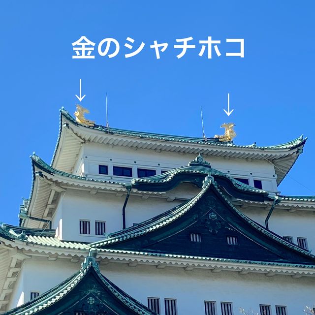 愛知旅行！絶対はずせない名古屋城
