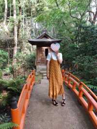 都内にある隠された秘境🫧緑豊かな渓谷🌿🕊‎【等々力】