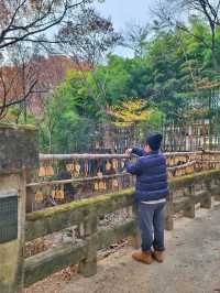 한적하게 거닐기 좋은 아름다운 홍룡사🍂