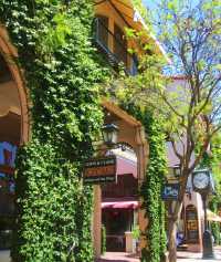 Vibrant Architecture at St. Barbara Downtown