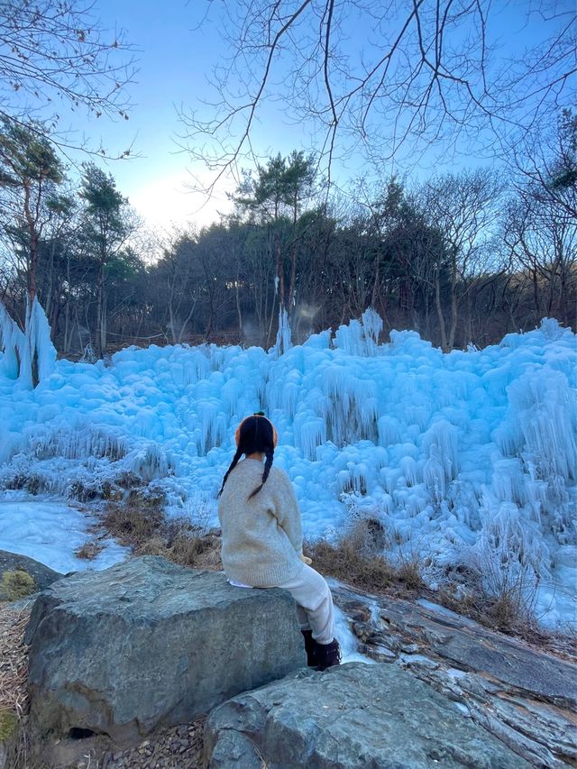엘사가 대구에 찾아왔다고?!