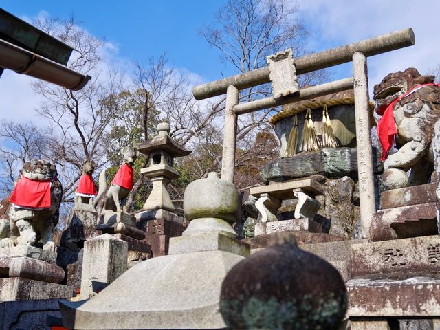 【京都市】無数の鳥居をくぐり山頂へ⛩