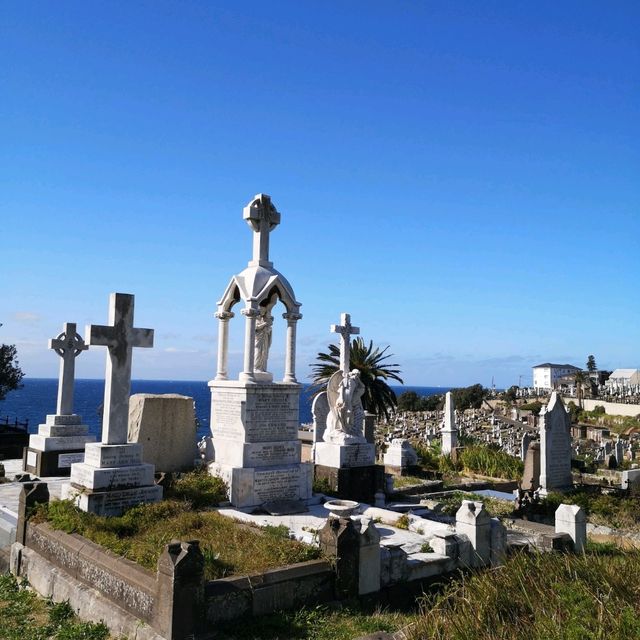 Sydney Bronte-Bondi Coastal Walk