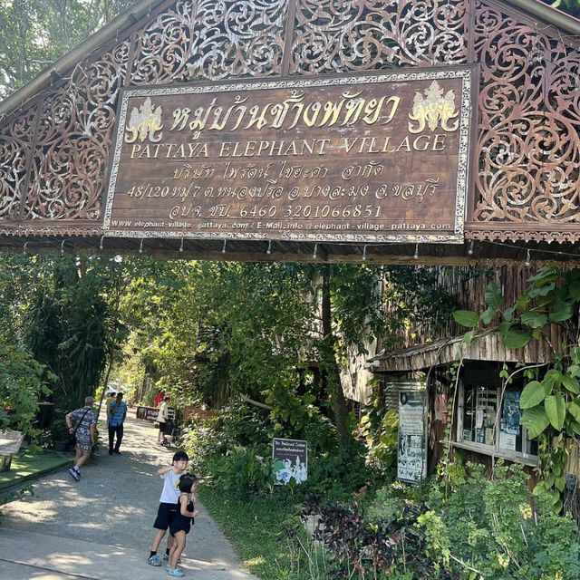 芭提雅區大象村