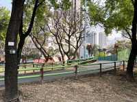九龍城廣場旁邊嘅賈炳達道公園