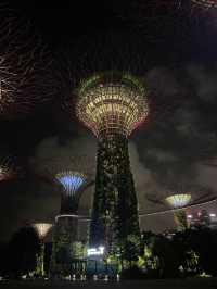 新加坡 | 必去睇夜景gardens by the bay