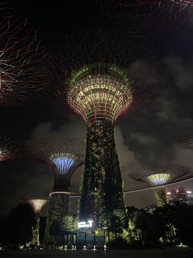 新加坡 | 必去睇夜景gardens by the bay