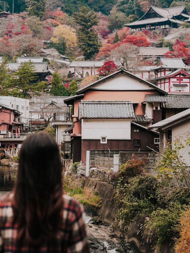 Autumn in Nara with the deers 🦌🇯🇵