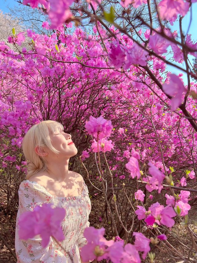 말그대로 꽃동산 그 자체💕