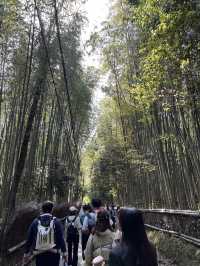 Arashiyama