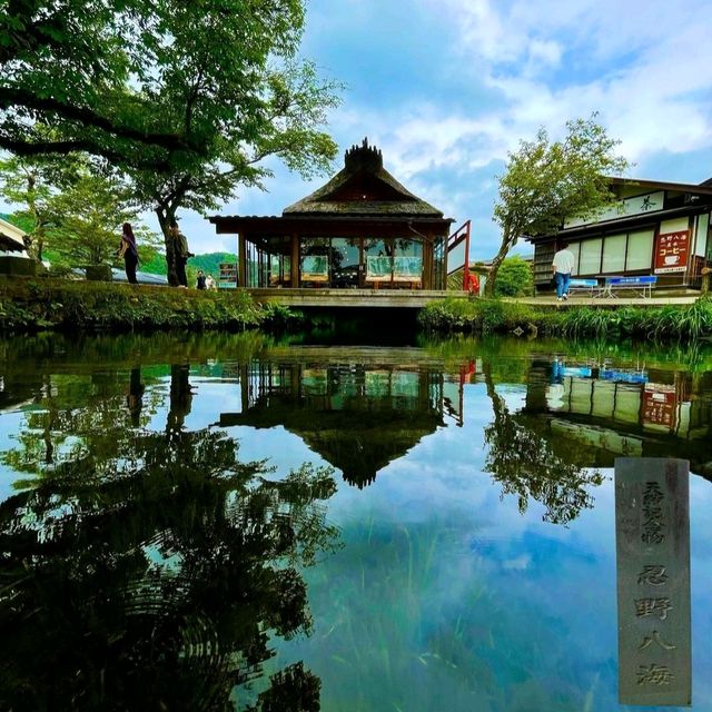 【山梨県/忍野村】忍野八海