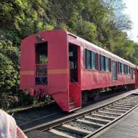 Railbike is the highlight of the trip