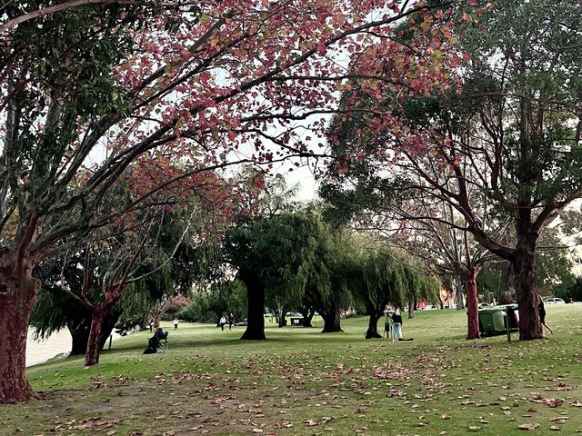 ArvoWalk!😉😜Matilda Bay & St GeorgeCollege😎