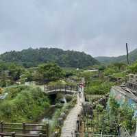 台北陽明山-繡球花園