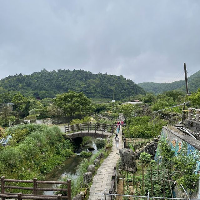 台北陽明山-繡球花園
