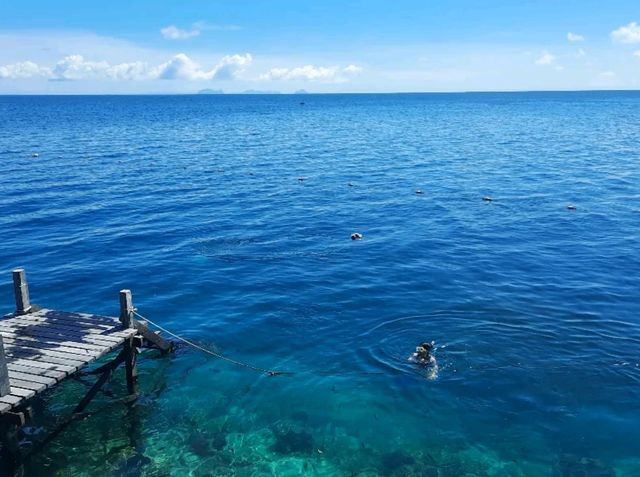 #no filter🌊純天然碧海藍天美人魚🧜🏻‍♀️