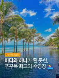 눈앞에 펼쳐지는 푸른 바다와 함께 수영하기🩵