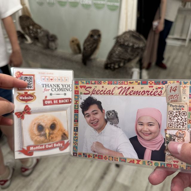 Make friends with an owl in this cafe!