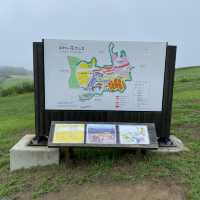 淡路島「あわじ花さじき」駐車場料金だけで入場できる花畑