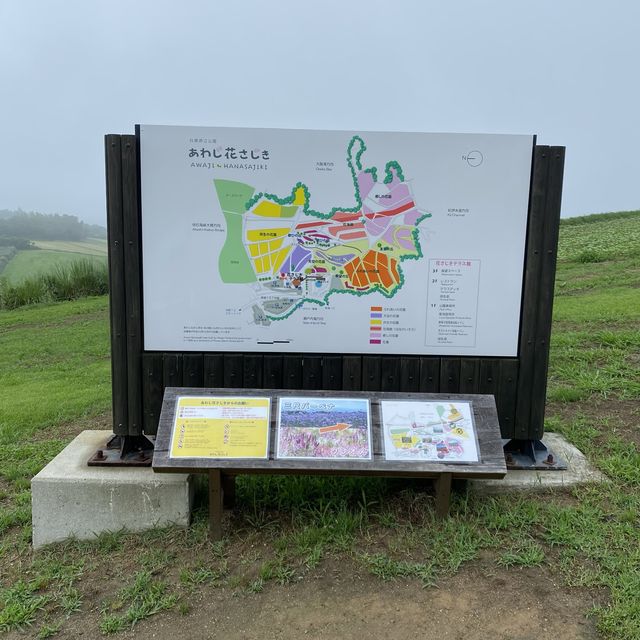淡路島「あわじ花さじき」駐車場料金だけで入場できる花畑