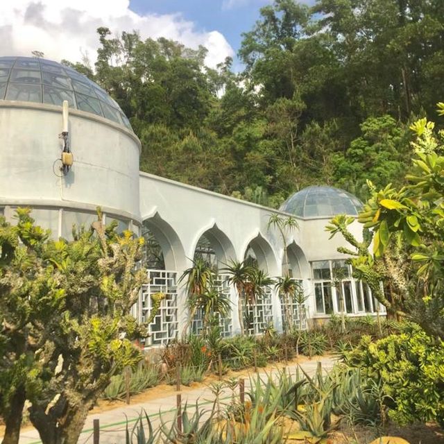 🏞️植物奧秘 - 仙湖植物園🌱