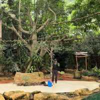 Singapore Zoo 