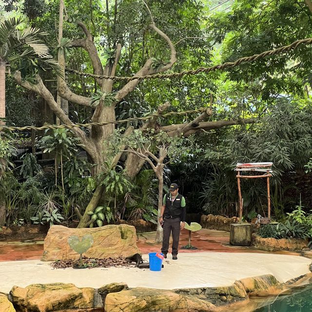 Singapore Zoo 