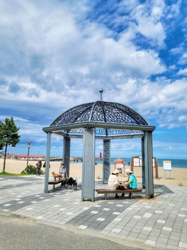 양양 여름여행 코스로 빠질수 없는 낙산비치🏖