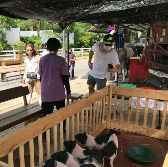 ไร่ทองสมบูรณ์คลับ เขาใหญ่