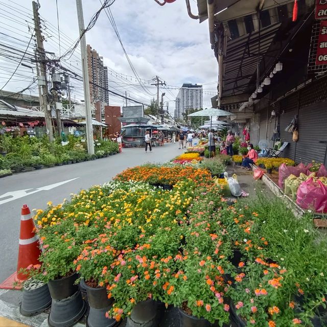 เดินตลาดต้นไม้ ตลาดนัดสวนจตุจักร