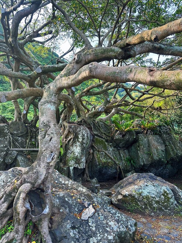 《宜蘭》一線天秘境 礁岩海景步道-北關海潮公園