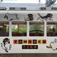 ไปขึ้นขบวนรถไฟแมวทามะกัน!