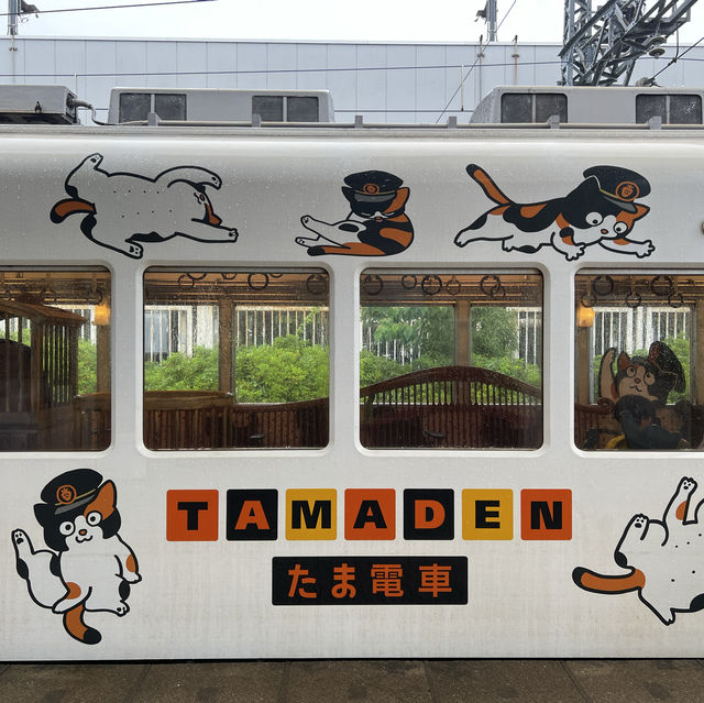 ไปขึ้นขบวนรถไฟแมวทามะกัน!