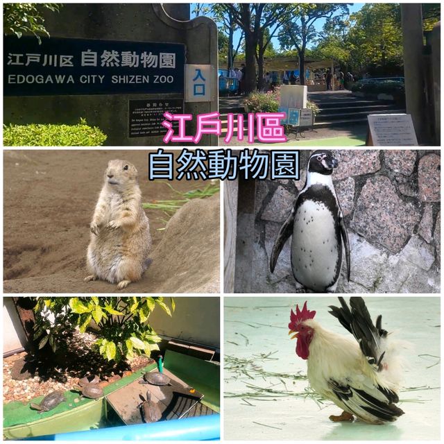 東京親子遊