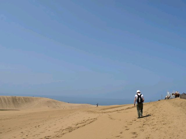 鳥取沙丘 - 美麗日落與星空