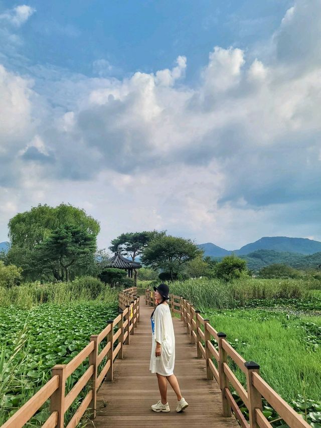 영광의 대표적인 여행지 불갑사 테마공원🌲