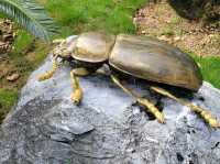 深圳市仙湖植物園